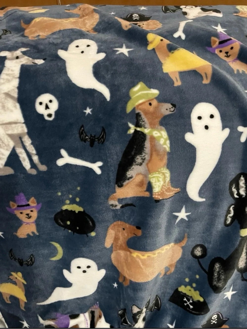 Halloween Well Dressed Home Custumed Dogs Throw - Halloween Dogs Throw
